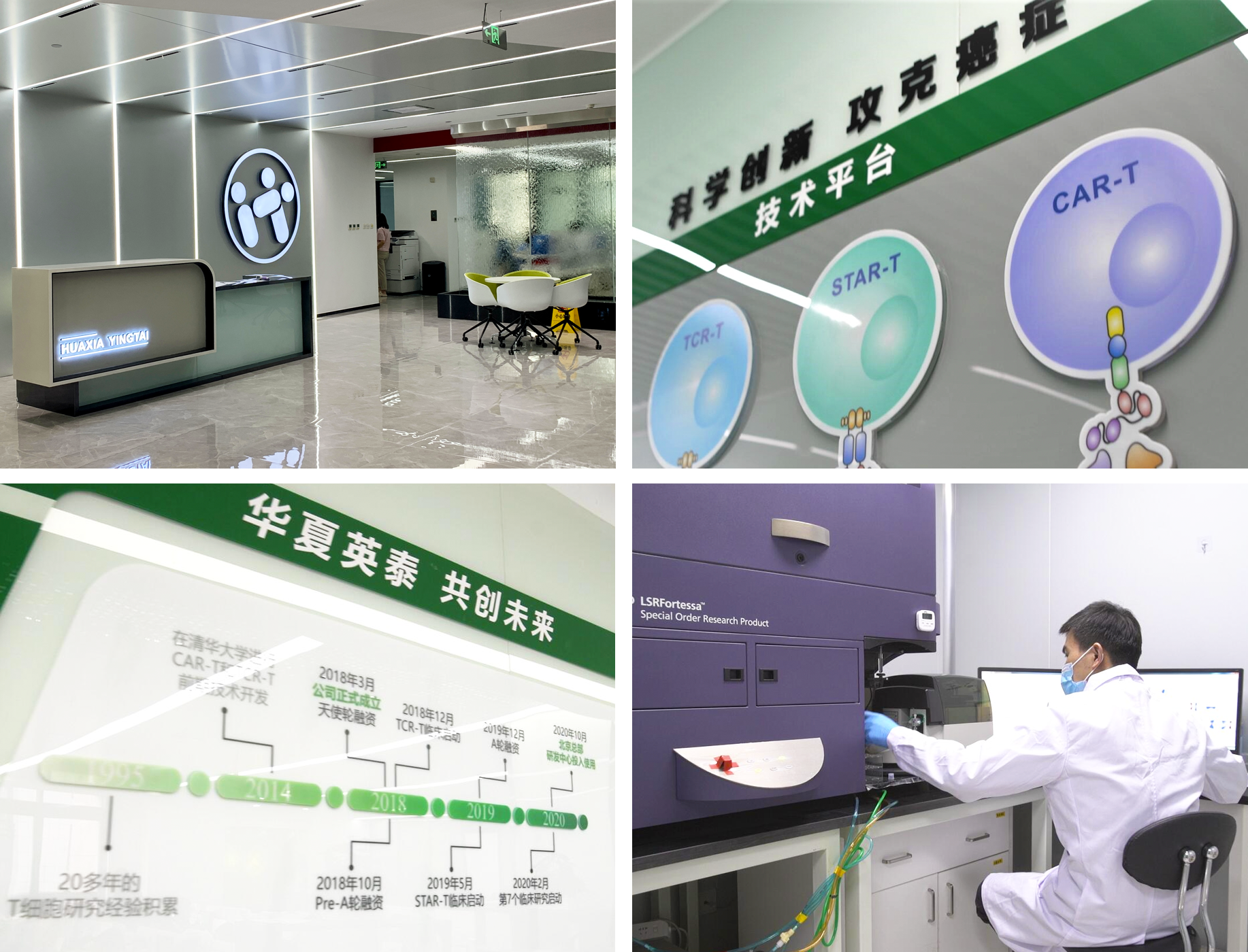 华夏英泰 北京 生物技术有限公司 关于英泰